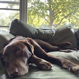 Entry image for Wesley