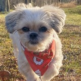 Entry image for SADIE