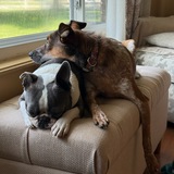 Entry image for Penny and Oliver 