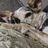 Entry image for Maizee