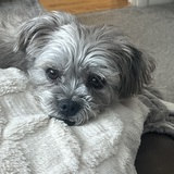 Entry image for Theo