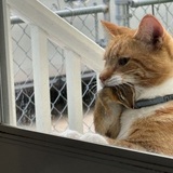 Entry image for Billy