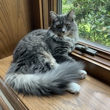 Entry image for Mercy