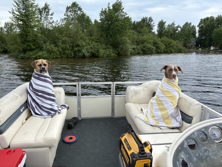 Entry image for Ranger and Maverick. Clicking this image will show a larger photo