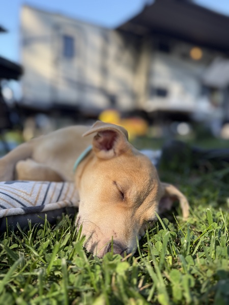 Entry image for Cooper David . Clicking this image will show a larger photo