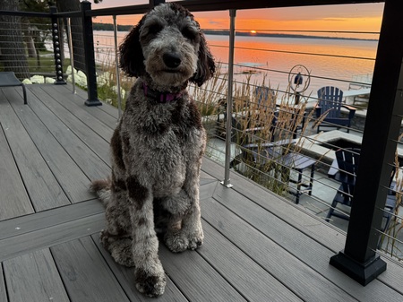 Entry image for Cammi. Clicking this image will show a larger photo