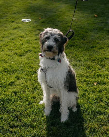 Entry image for Max. Clicking this image will show a larger photo