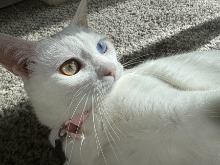 Entry image for Mizuki. Clicking this image will show a larger photo