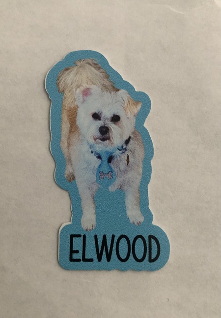 Entry image for Elwood. Clicking this image will show a larger photo