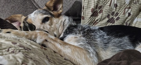 Entry image for Maizee. Clicking this image will show a larger photo