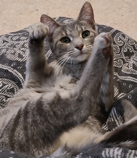 Entry image for Thelma. Clicking this image will show a larger photo