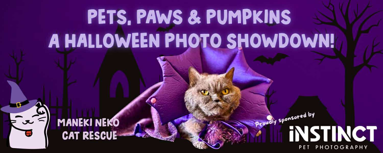 Banner for Pets Paws & Pumpkins – A Halloween Photo Showdown
