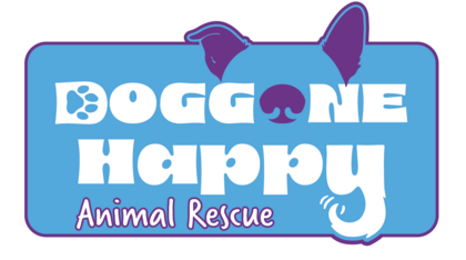 Logo for DHAR 2026 Calendar Competition!