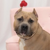 Entry image for LuLu