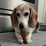 Entry image for Fern