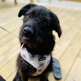 Entry image for Miller “Millie” 64