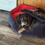 Entry image for Cappuccino 