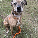 Entry image for Sparkle 