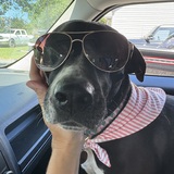 Entry image for Redden (fka Baby Audrey) 