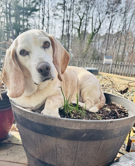 Entry image for Garrett . Clicking this image will show a larger photo