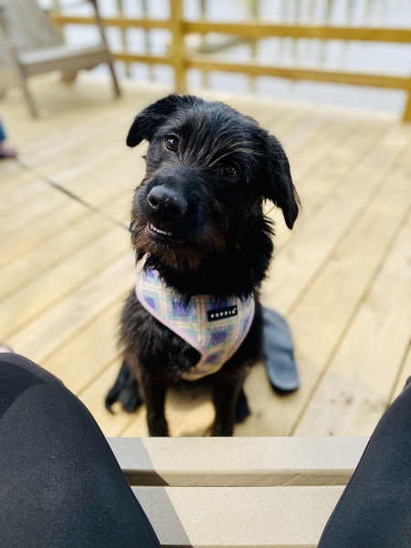 Entry image for Miller “Millie” 64. Clicking this image will show a larger photo