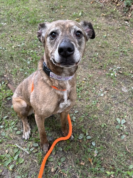 Entry image for Sparkle . Clicking this image will show a larger photo