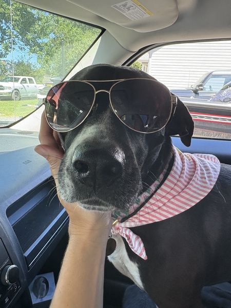 Entry image for Redden (fka Baby Audrey) . Clicking this image will show a larger photo