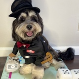 Entry image for Gus