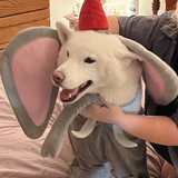 Entry image for Ela Yona