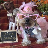 Entry image for ELLEE-MAE 