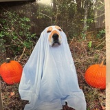 Entry image for Shelby Calvert