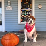 Entry image for Cowboy Birney