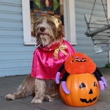 Entry image for Princess Tina