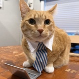 Entry image for Russell 