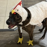 Entry image for Naomi 