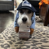 Entry image for Sparky