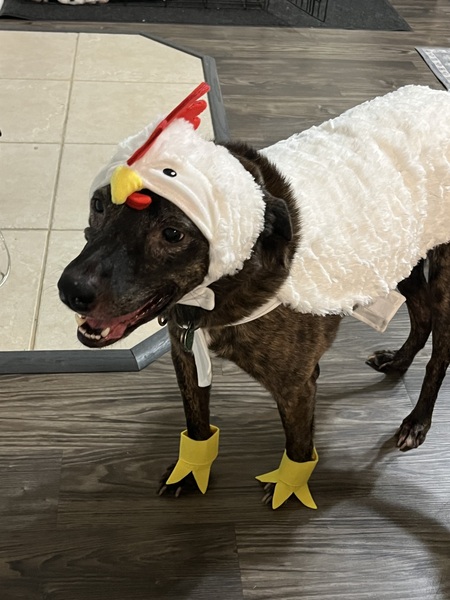 Entry image for Naomi . Clicking this image will show a larger photo