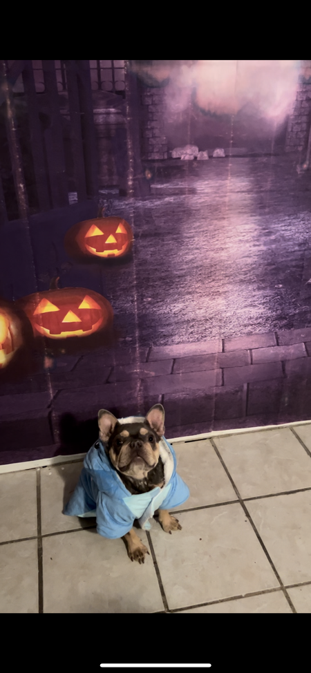 Entry image for Rue. Clicking this image will show a larger photo