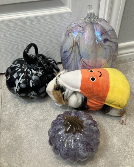 Entry image for Story. Clicking this image will show a larger photo