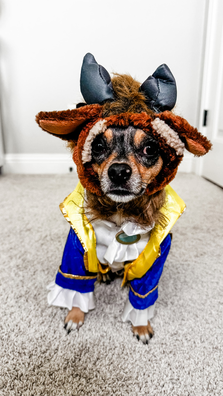 Entry image for Bolt . Clicking this image will show a larger photo