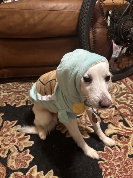 Entry image for Christopher Hemsworth Lee I. Clicking this image will show a larger photo