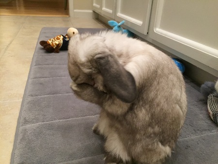 Pancake