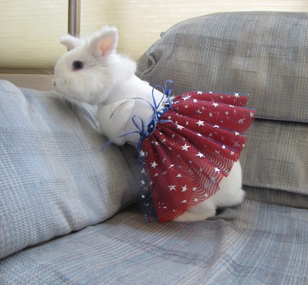 Tribble