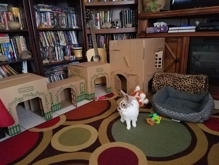Zelda