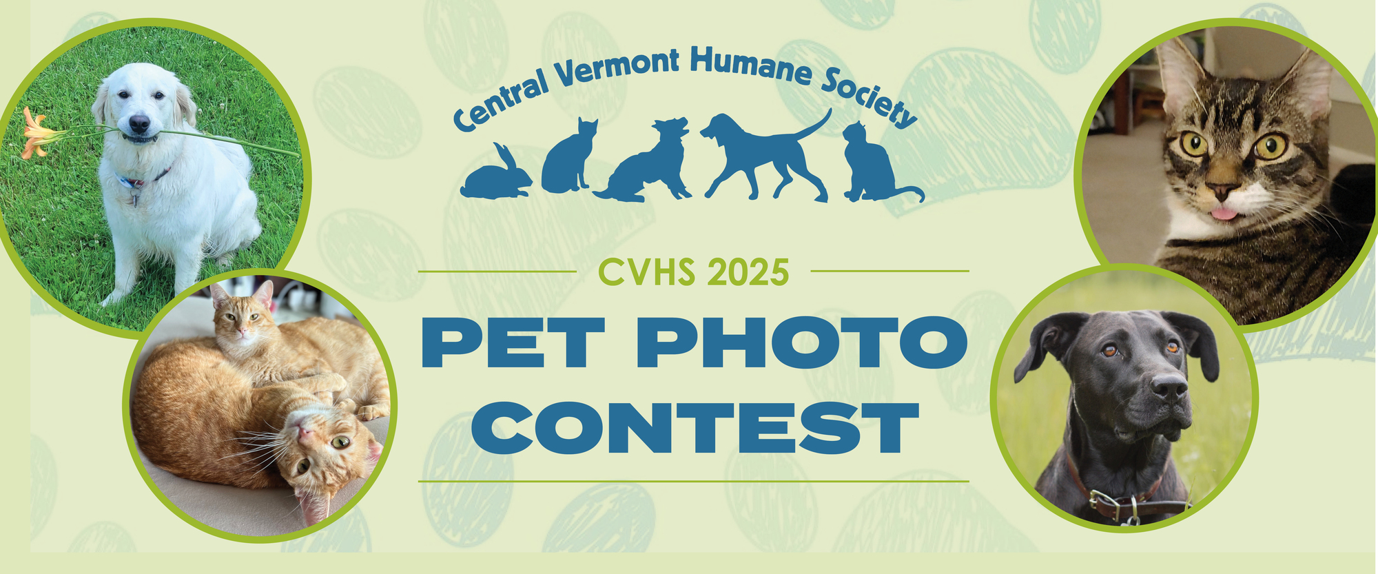 Banner for CVHS 2025 Pet Photo Contest