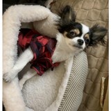 Entry image for Mateo