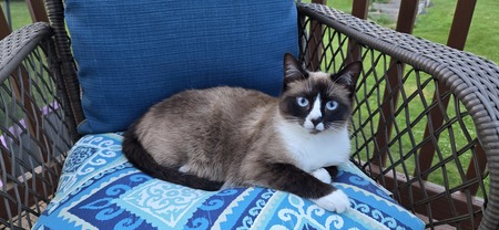 Entry image for Nini. Clicking this image will show a larger photo