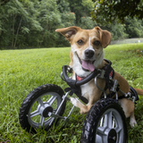 Entry image for Gitchie