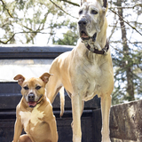 Entry image for Evy Luna