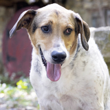 Entry image for Jack